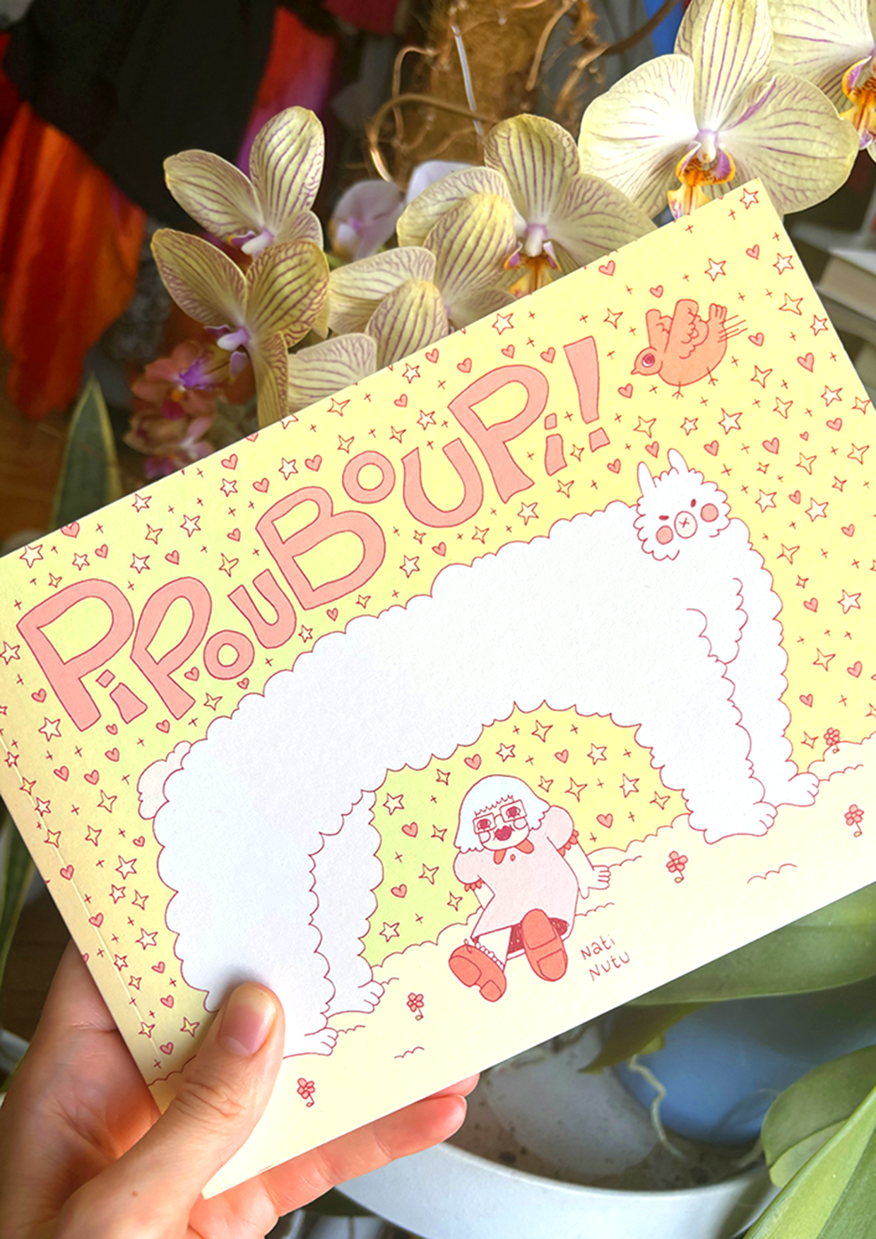Comic - Pipouboupi